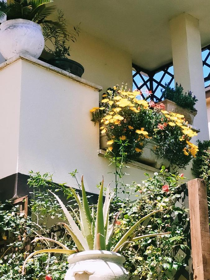 Luxury Apartment Magnolia Terrace فريجيني المظهر الخارجي الصورة